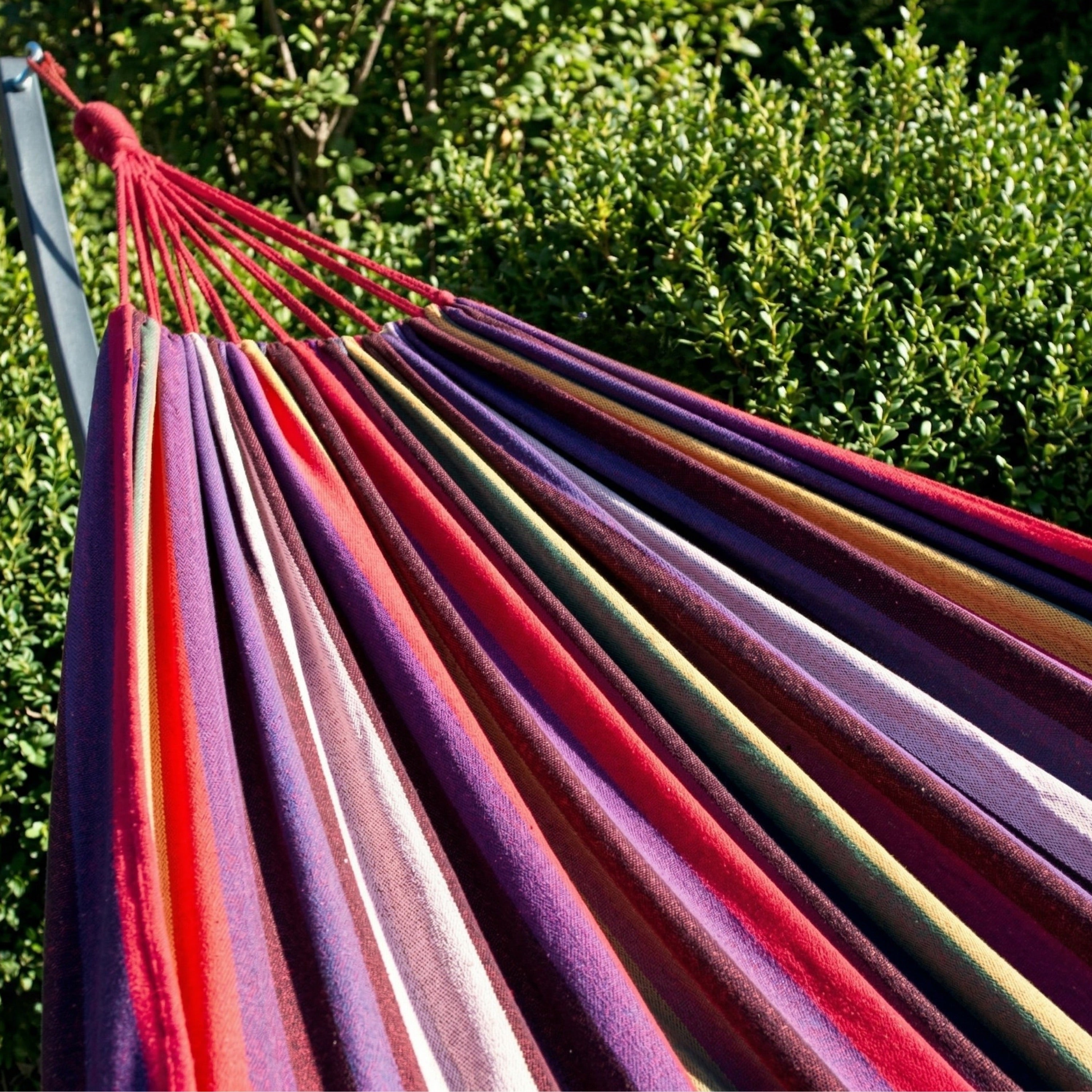 hamac violet de la collection horizonte de Hamacio dans un jardin